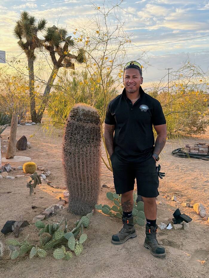 Saul, owner of The Modernist Landscapes, standing in a desert garden with barrel cactus and Joshua trees