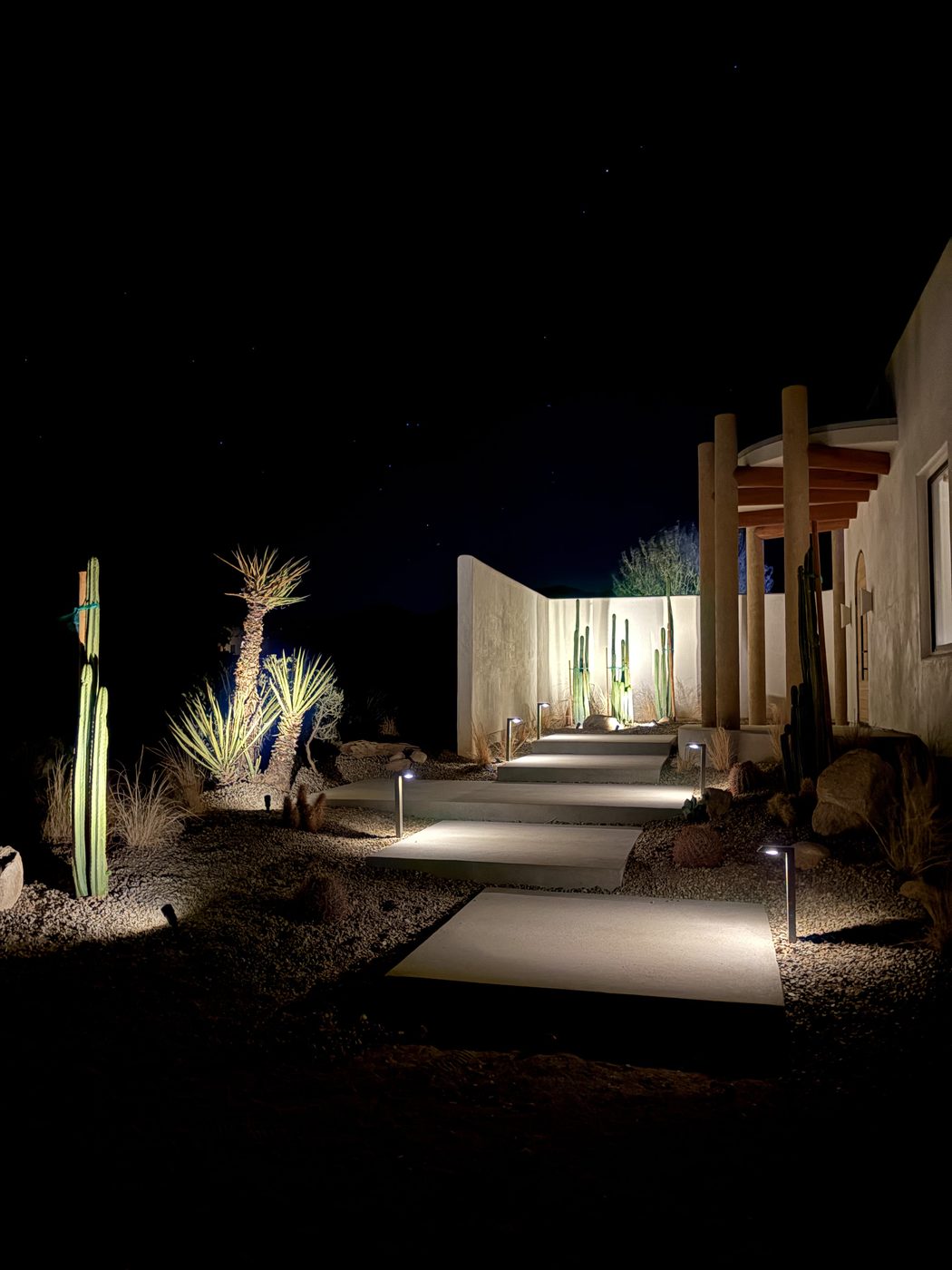 Low-voltage path lighting along the walkway with uplit cactus at night