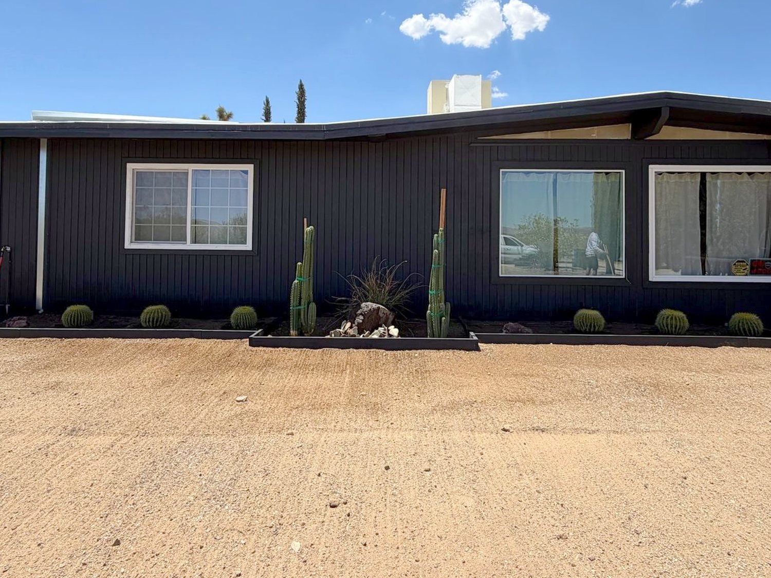 Front yard after, raised beds with columnar cacti, barrel cacti, and boulders below the windows