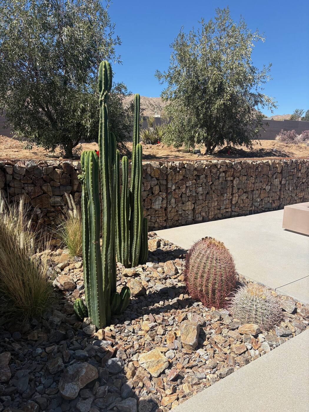 Gabion wall lining the patio next to a built-in fire feature, desert plantings in front