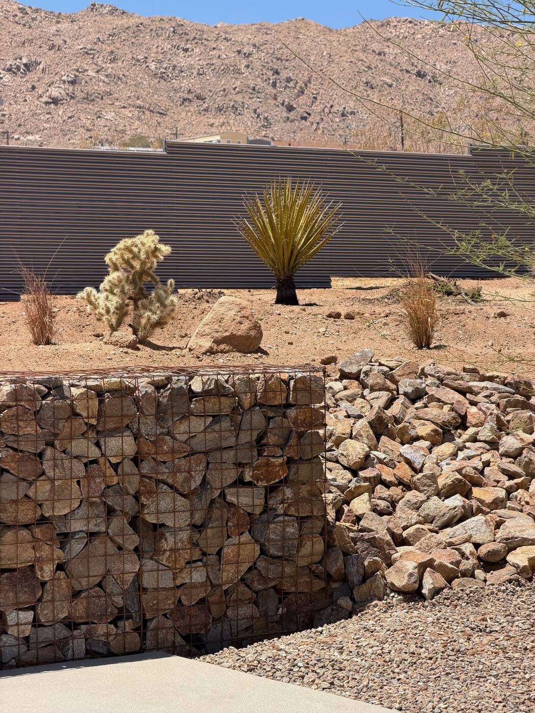 Gabion wall against a desert mountain backdrop, planted with cacti and grasses