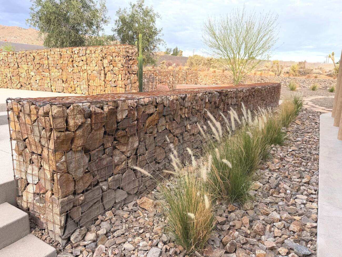 Finished gabion basket walls lining a desert walkway, planted with fountain grass