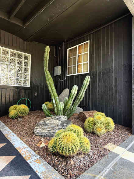 Barrel cactus and boulder planting bed at a covered desert entryway