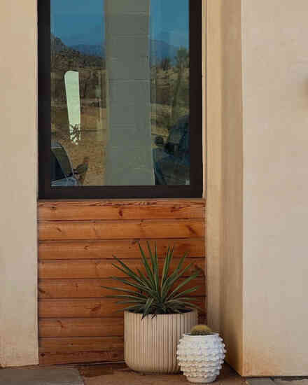 Modern entry with wood accent wall and potted agave beside the front door