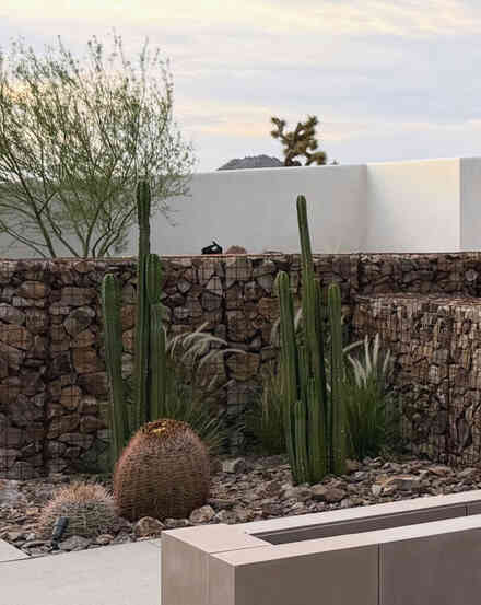 Backyard gabion wall lined with columnar cacti and desert grasses
