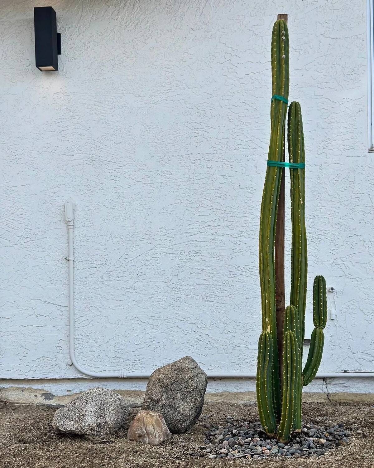 Desert landscape design at dusk