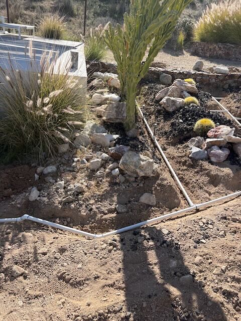 Trenched irrigation lines branching through a rock and cactus planting bed
