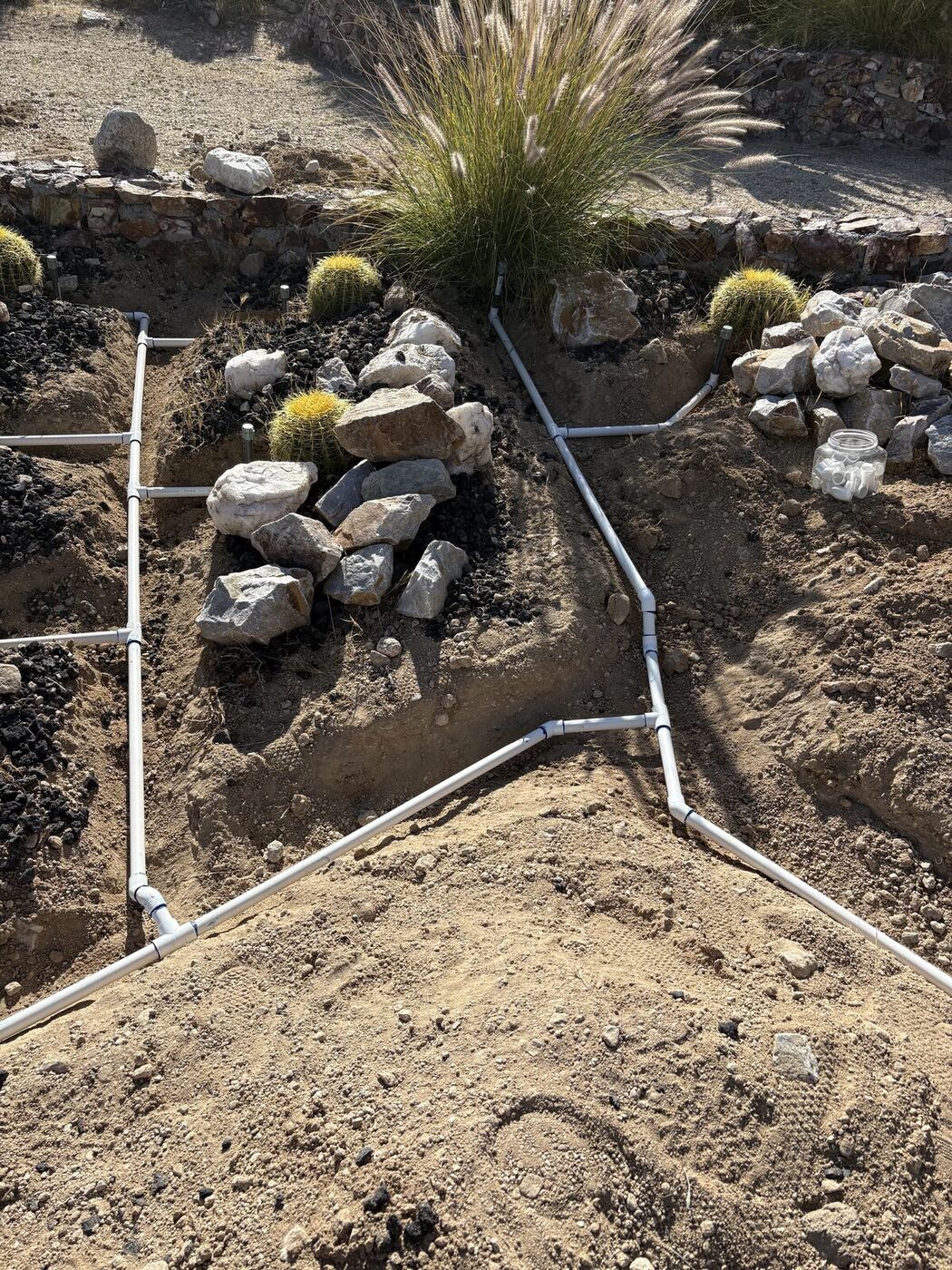 Zoned PVC mainlines trenched through a desert bed of barrel cactus and grasses before backfill
